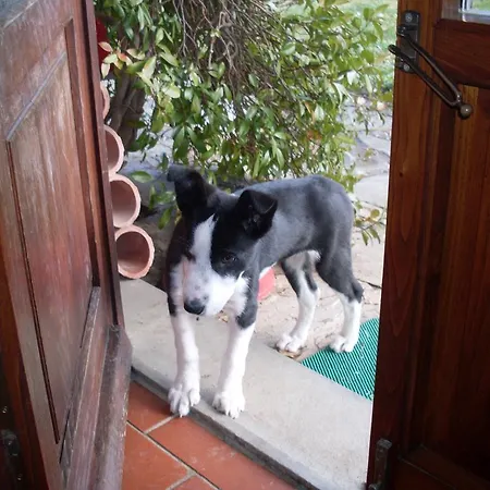 Fattoria Di Corsignano Farm stay