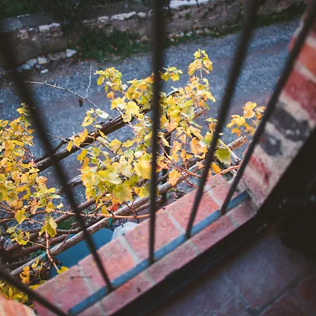 Fattoria Di Corsignano Agroturismo *