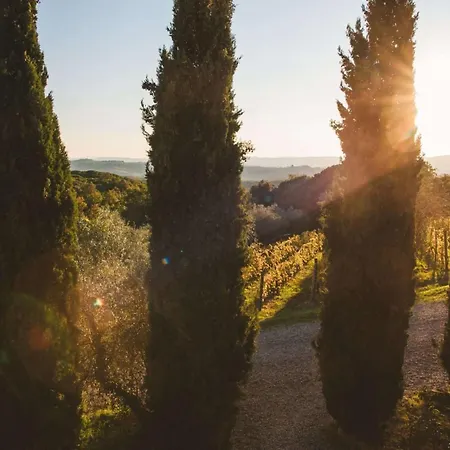 Fattoria Di Corsignano Agroturismo Vagliagli