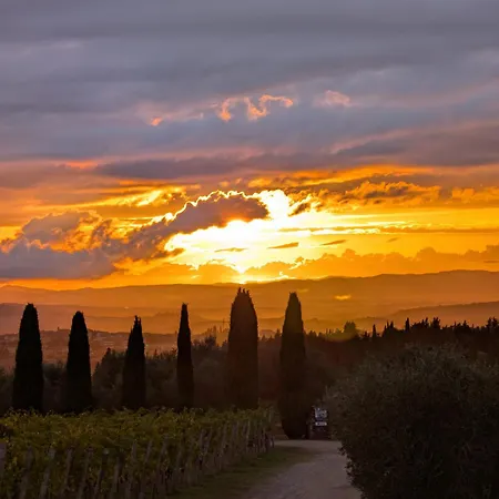 Fattoria Di Corsignano Vagliagli