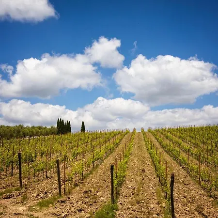 Fattoria Di Corsignano Agroturismo Vagliagli