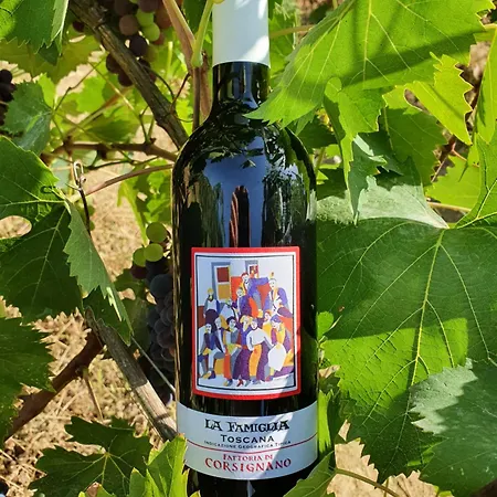 Fattoria Di Corsignano Agroturismo *