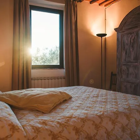 Lantgård Fattoria Di Corsignano Vagliagli
